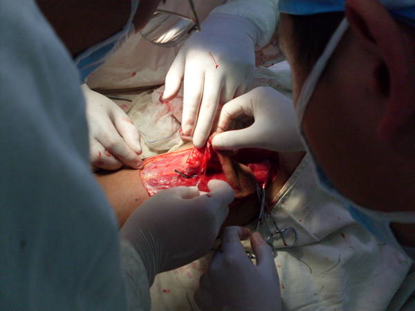 SDC12464.JPG