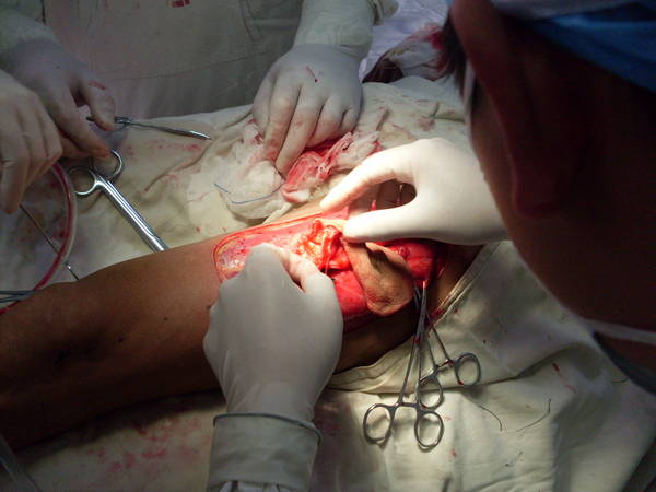 SDC12465.JPG