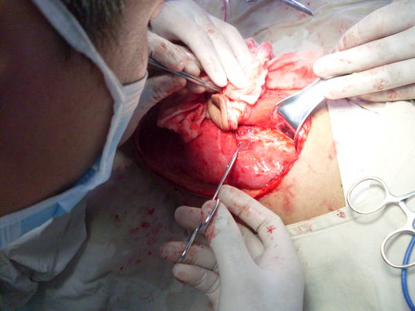 SDC12470.JPG