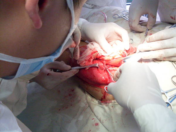 SDC12472.JPG
