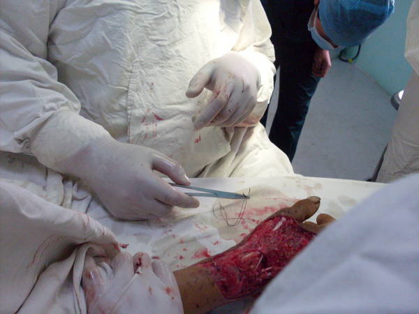 SDC12481.JPG