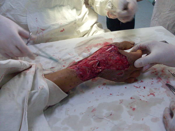 SDC12484.JPG
