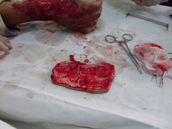 SDC12485.JPG