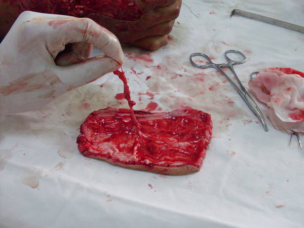 SDC12487.JPG