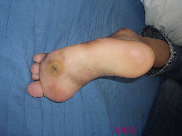 PB160152.JPG