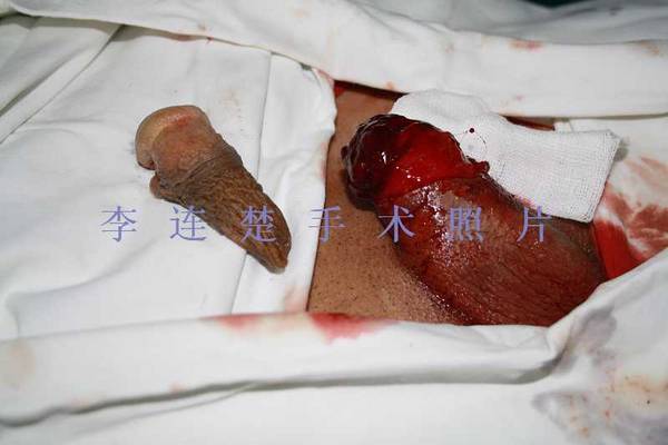 照片 541.jpg