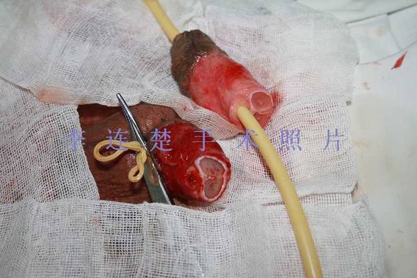 照片 546.jpg