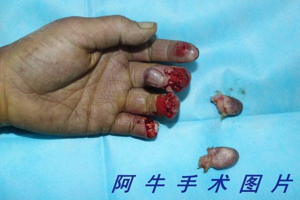 照片 156.jpg