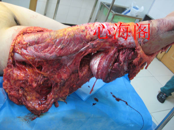 IMG_4703_副本.jpg