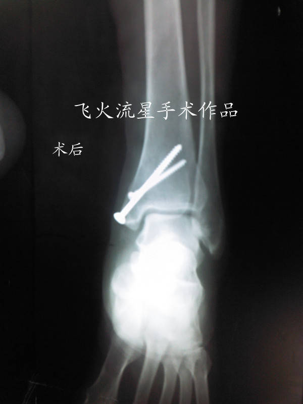 IMG_20111216_154604_副本.jpg
