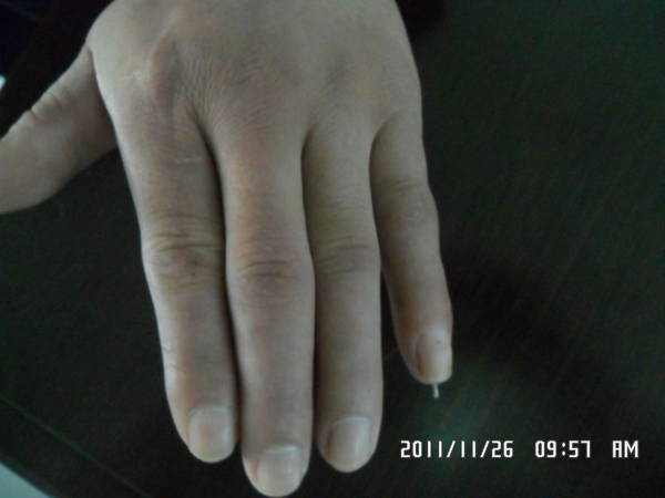 SAM_1311.JPG