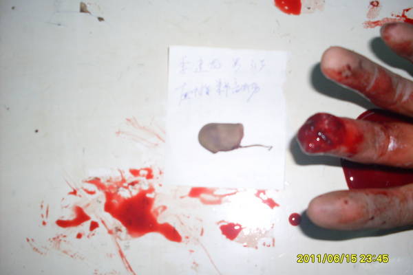SDC12644.JPG