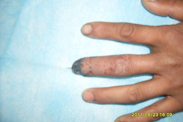 SDC12679.JPG