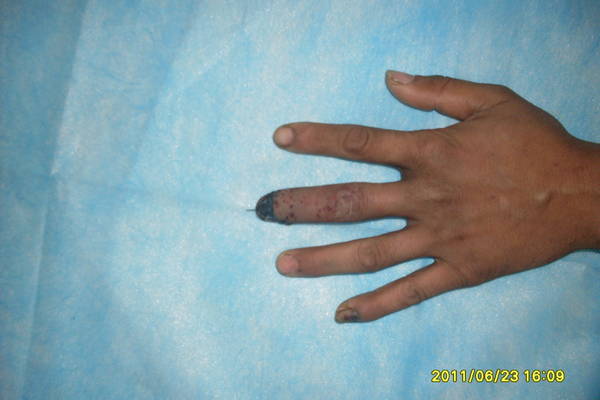 SDC12677.JPG
