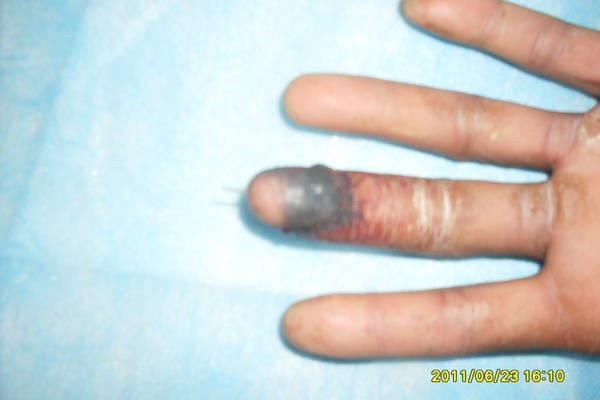 SDC12685.JPG
