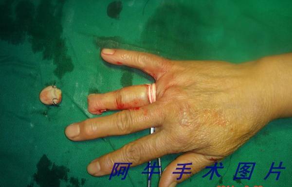 dsc02753[1].jpg