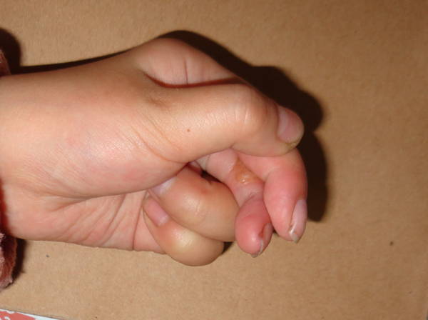 DSC00450.jpg
