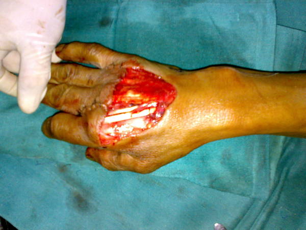 20111002539.jpg