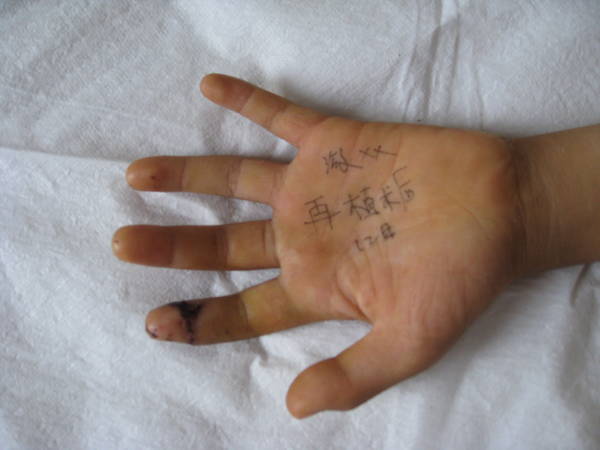 照片 237.jpg
