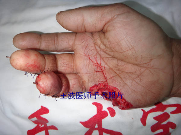 DSC00539_副本.jpg