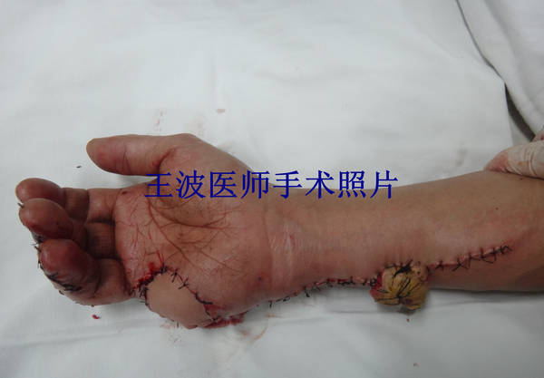 DSC00706_副本.jpg