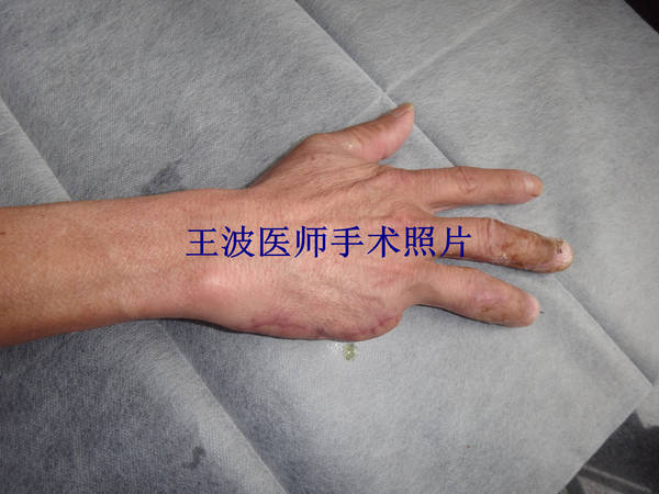 DSC01183_副本.jpg