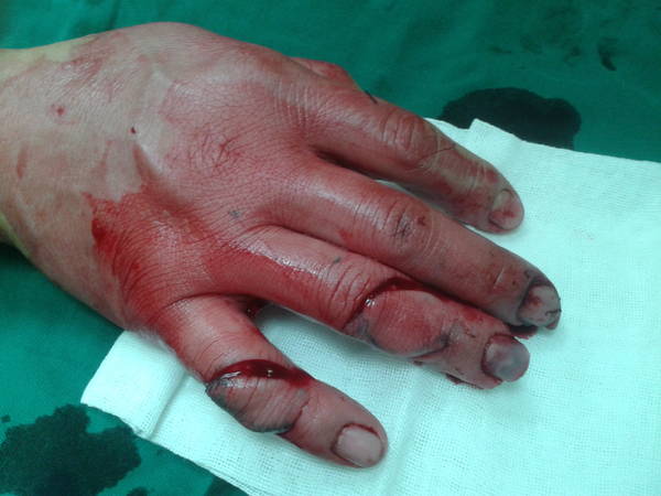 2011-12-02 11.10.16.jpg