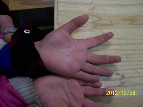 100_7180.JPG