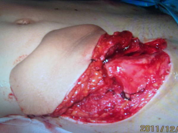 20111214285.jpg
