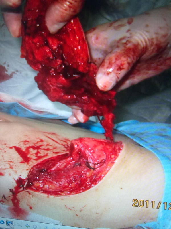 20111214286.jpg