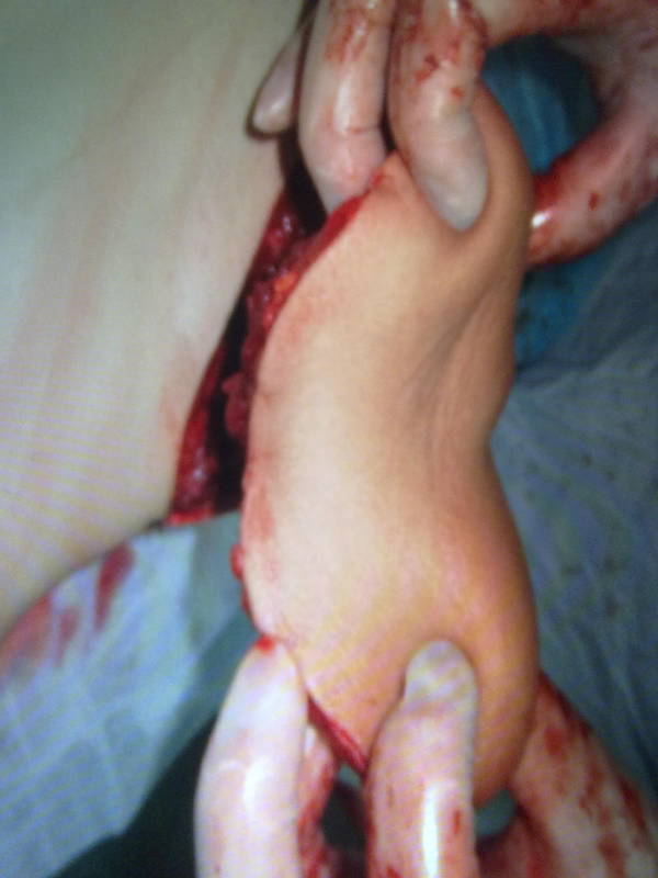 20111214287.jpg