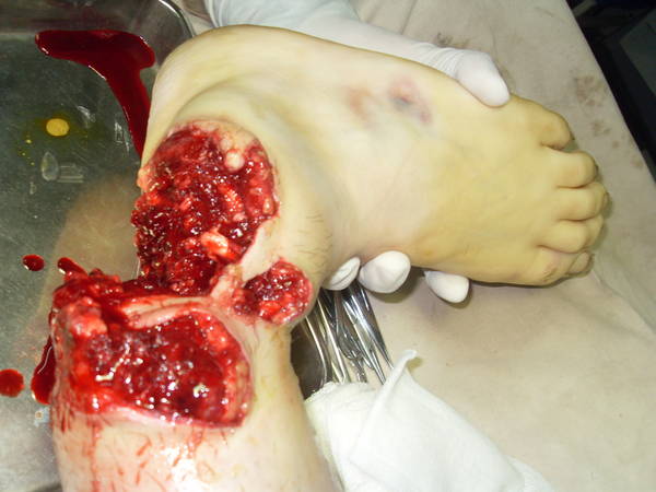 SDC12269.JPG