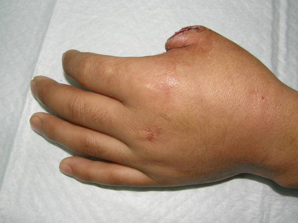 PB210049.JPG