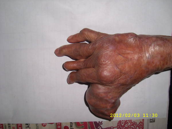 SL271791.JPG