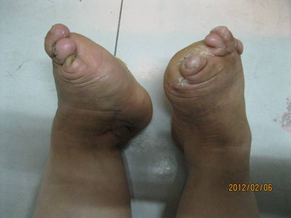 IMG_2880.jpg