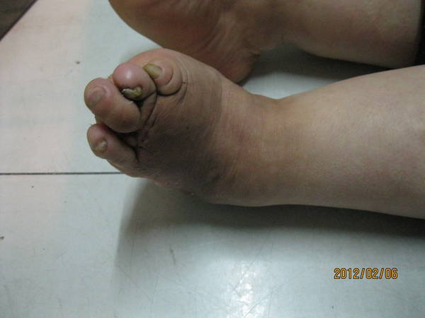 IMG_2883.jpg