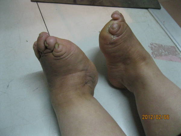 IMG_2884.jpg