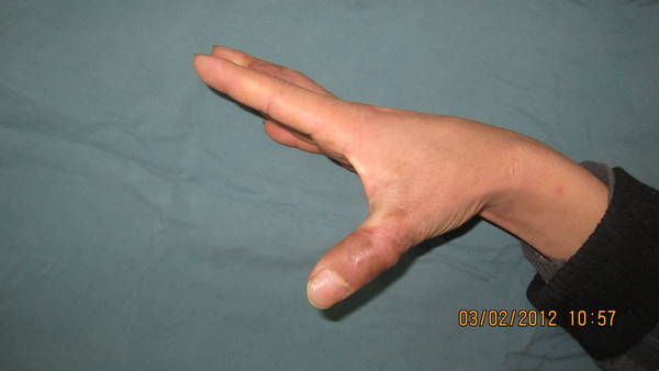 IMG_2384.jpg
