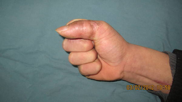 IMG_2391.jpg