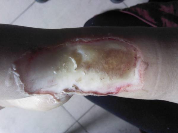 IMG_20120208_115059.jpg