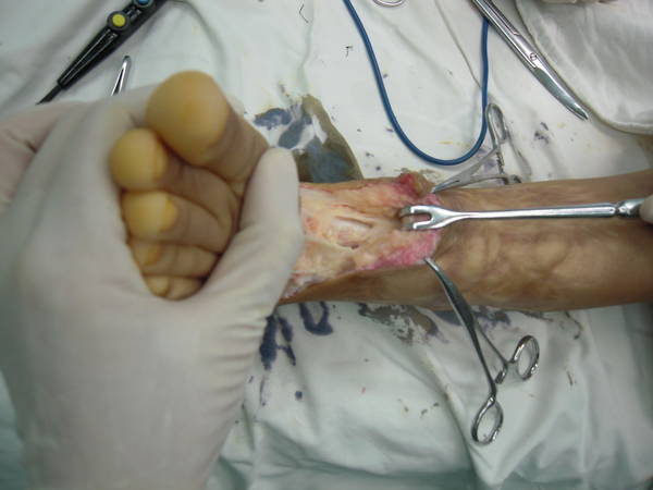 DSCN3998.JPG