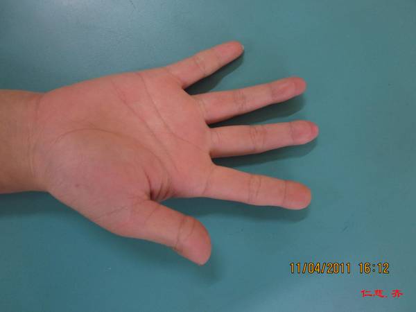 IMG_8486.jpg