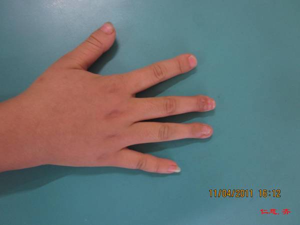 IMG_8487.jpg