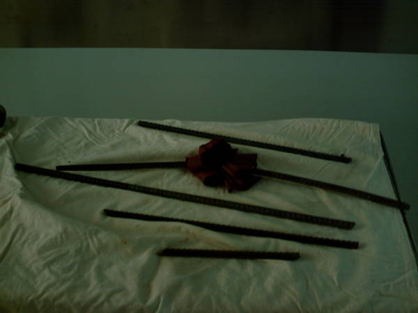 PICT0038.JPG