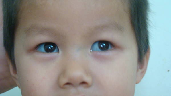 DSC01603.JPG