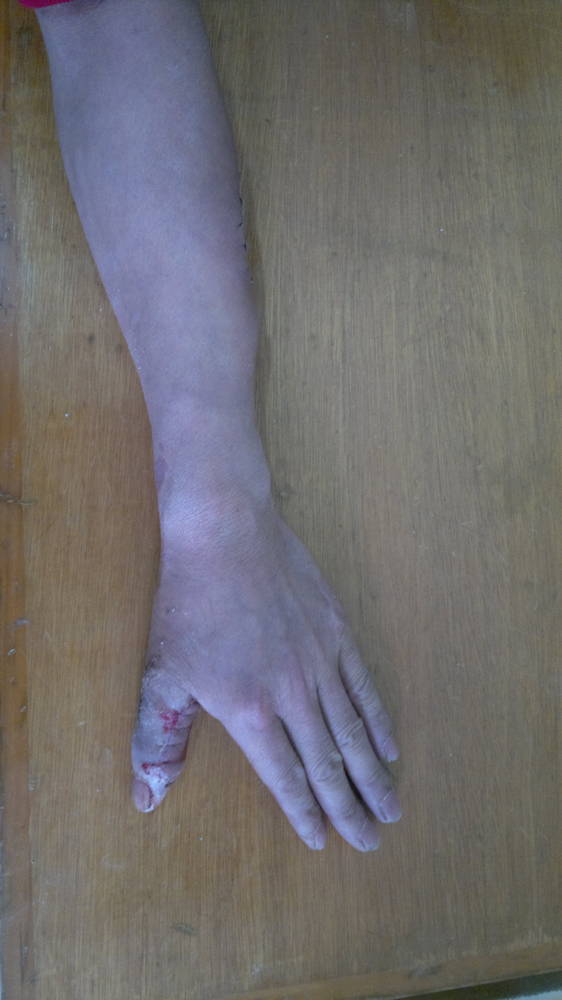 201202221029.jpg
