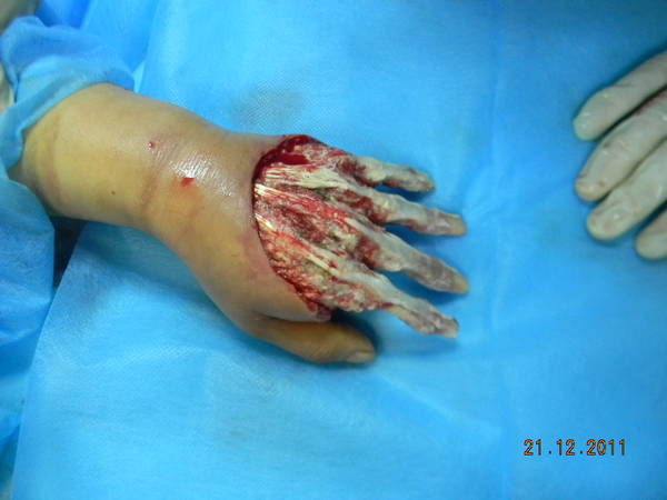 DSCN2439.JPG