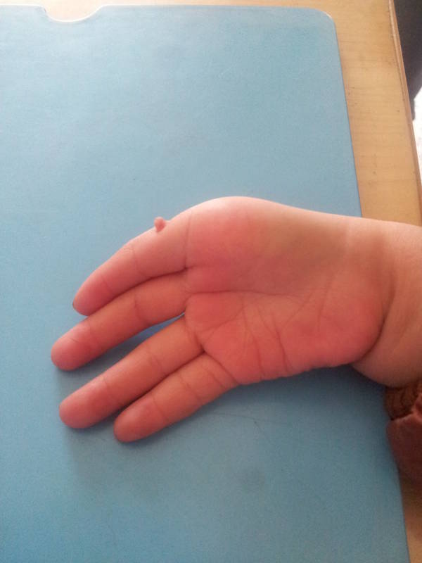 20120217_113204.jpg