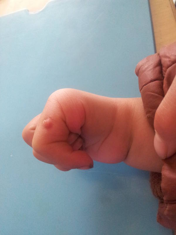 20120217_113215.jpg
