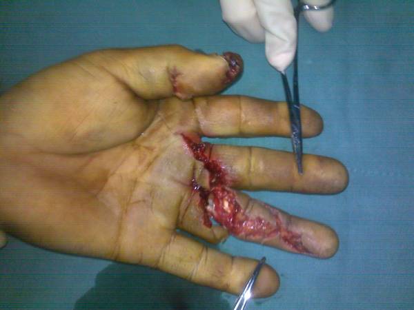 20111210086.jpg